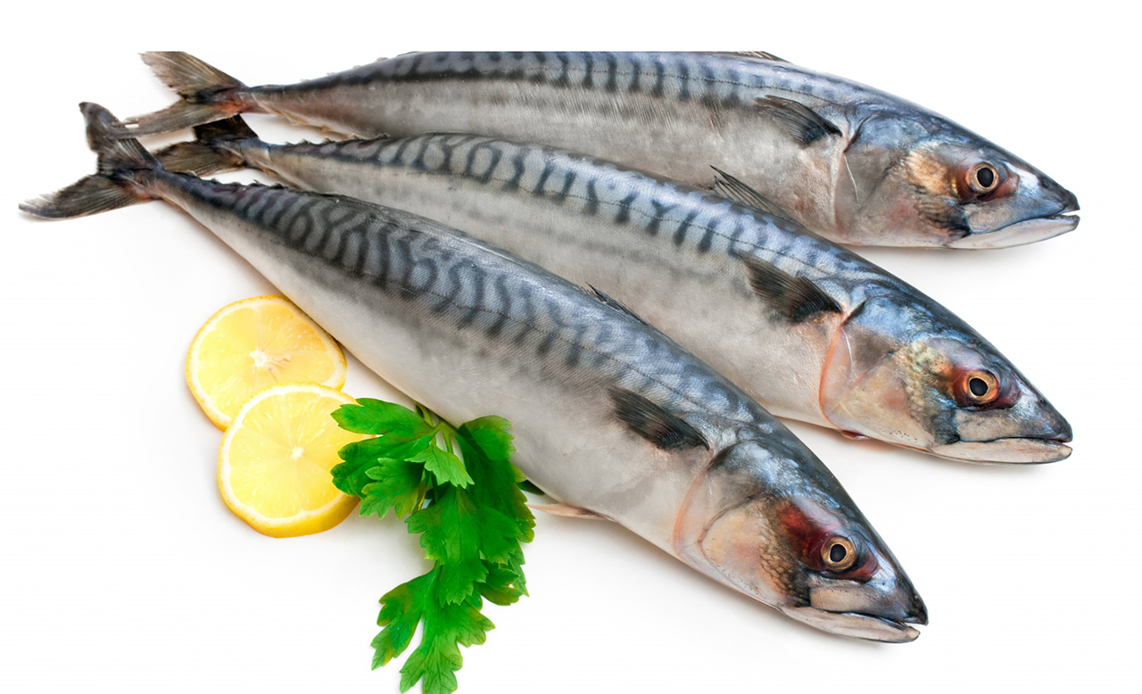 أنواع سمك السردين 2. فوائد أنواع سمك السردين للصحة