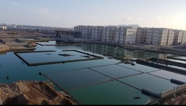 عودة المجاري الى شوارع عدن