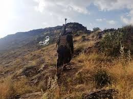 أرشيفية